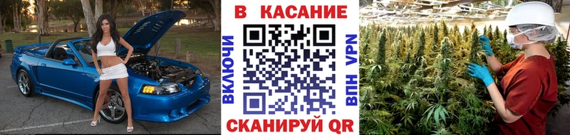 Галлюциногенные грибы Нерюнгри