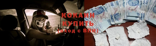 ПСИЛОЦИБИНОВЫЕ ГРИБЫ Тавда