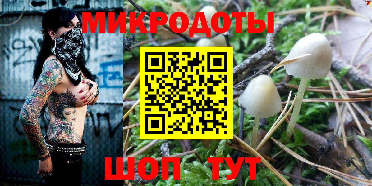 Галлюциногенные грибы Cubensis Нерюнгри