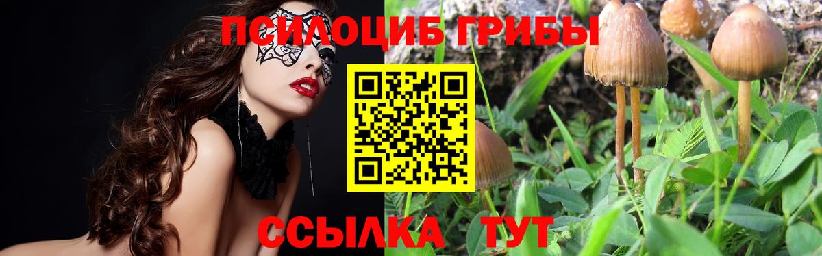 Нерюнгри  Галлюциногенные грибы мухоморы  магазин продажи наркотиков  Вход с VPN 
